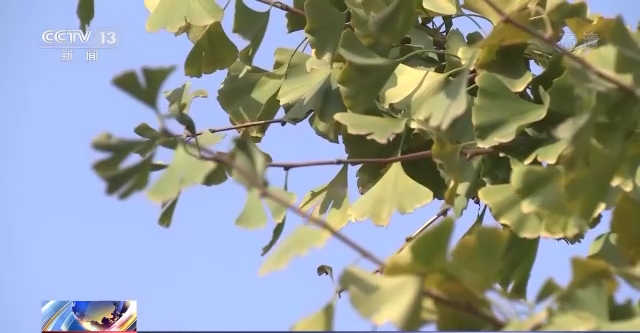 花钱越多福利越多？警惕“温情”关怀背后的养老投资骗局