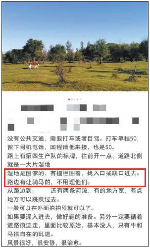 有“毒”旅游攻略帖暗藏多重风险 盲目效仿或触法