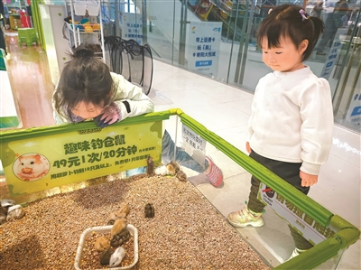 “异宠”流行，市场规模近百亿元，但需注意——“异宠”不可随意宠