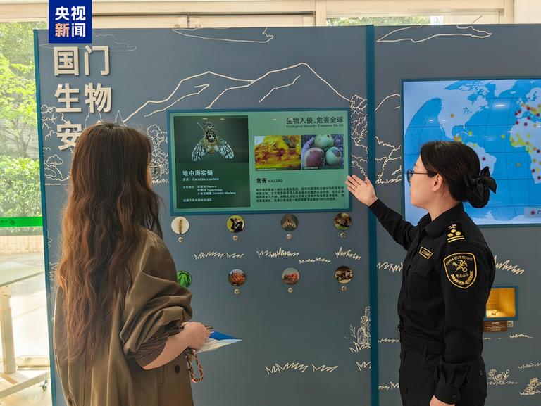 同比增长210.98% 去年上海海关截获外来物种255种次